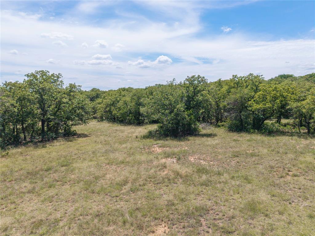 51.03 Acres Highway 16, De Leon, TX 76444