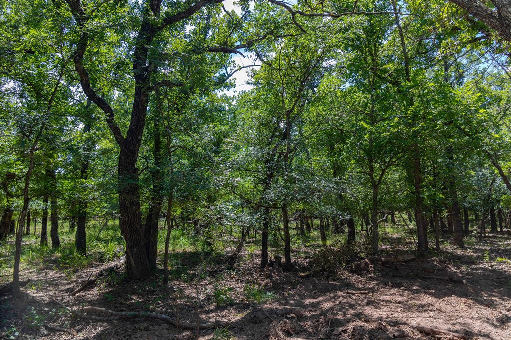 51.03 Acres Highway 16, De Leon, TX 76444