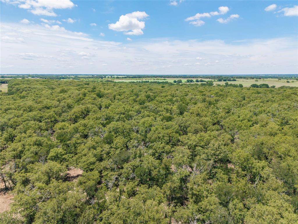 51.03 Acres Highway 16, De Leon, TX 76444