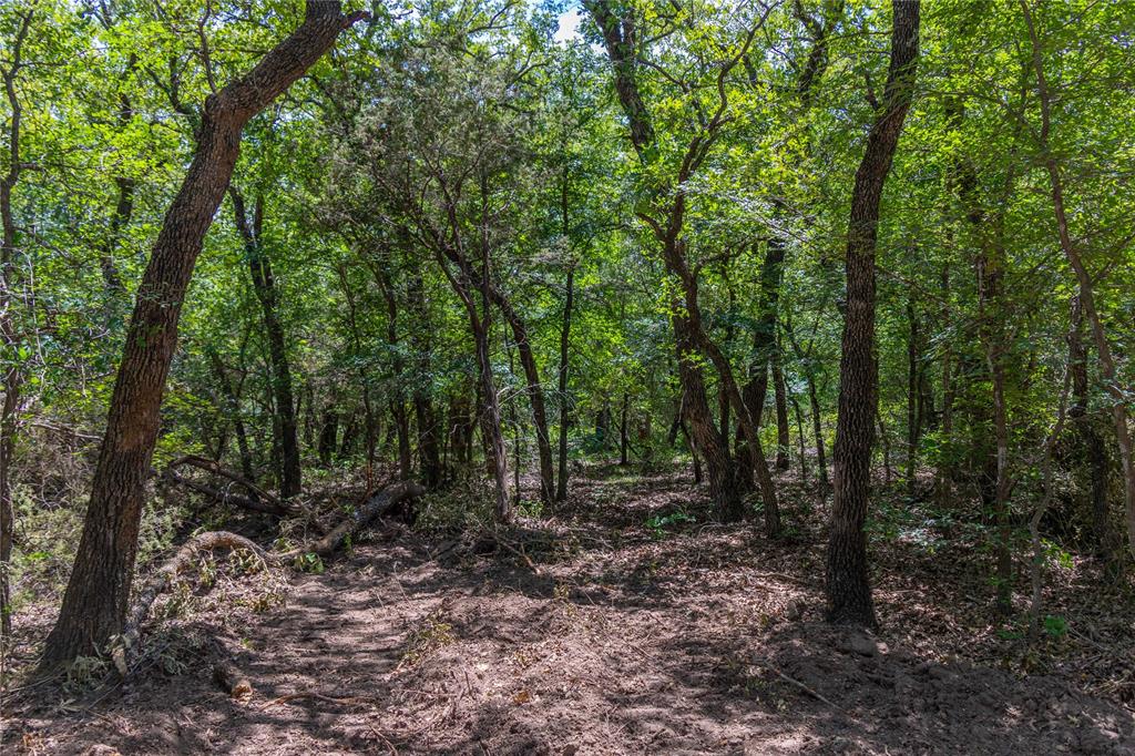 51.03 Acres Highway 16, De Leon, TX 76444