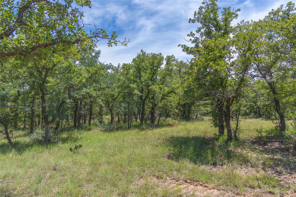 51.03 Acres Highway 16, De Leon, TX 76444
