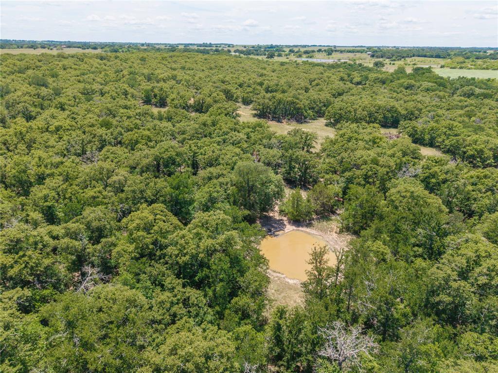 51.03 Acres Highway 16, De Leon, TX 76444