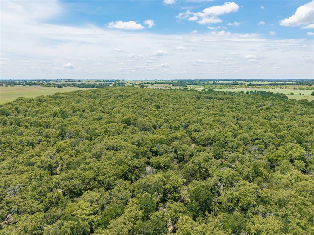 51.03 Acres Highway 16, De Leon, TX 76444