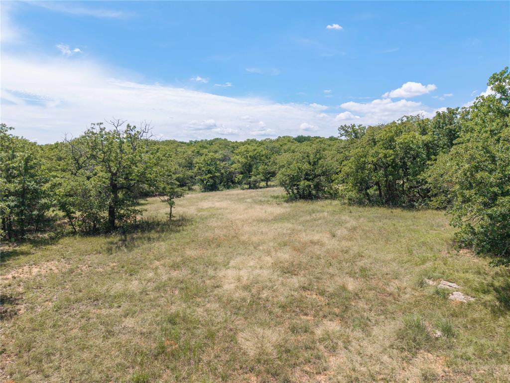 51.03 Acres Highway 16, De Leon, TX 76444