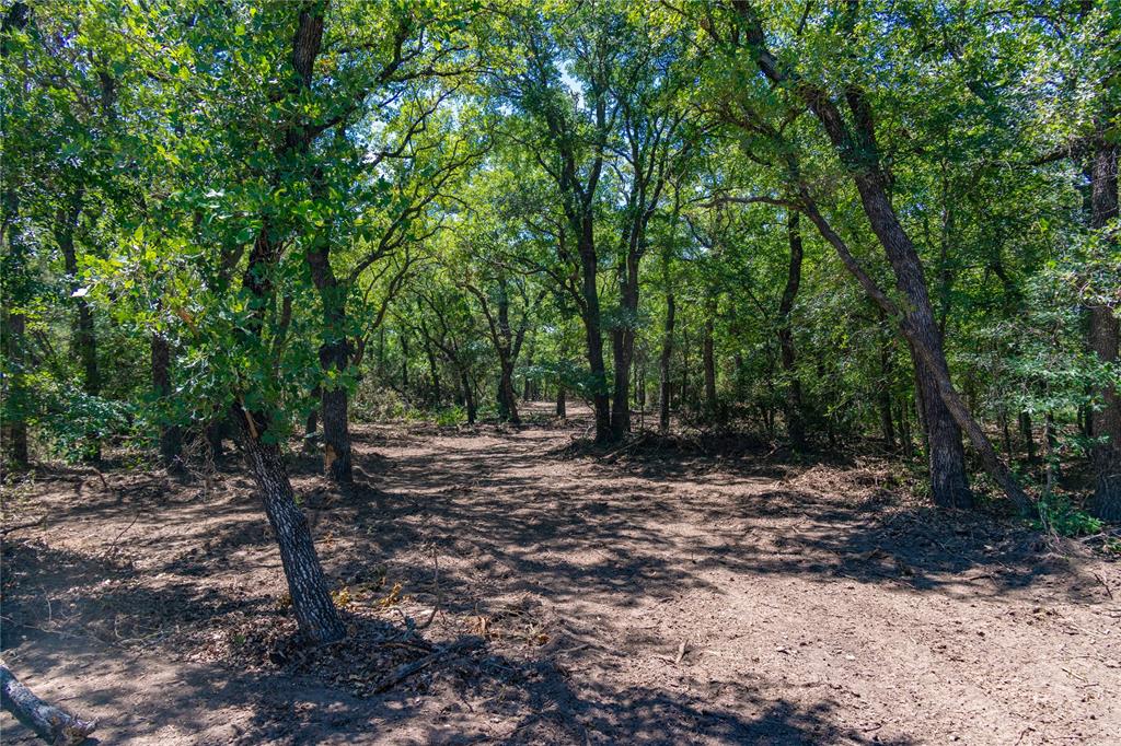51.03 Acres Highway 16, De Leon, TX 76444