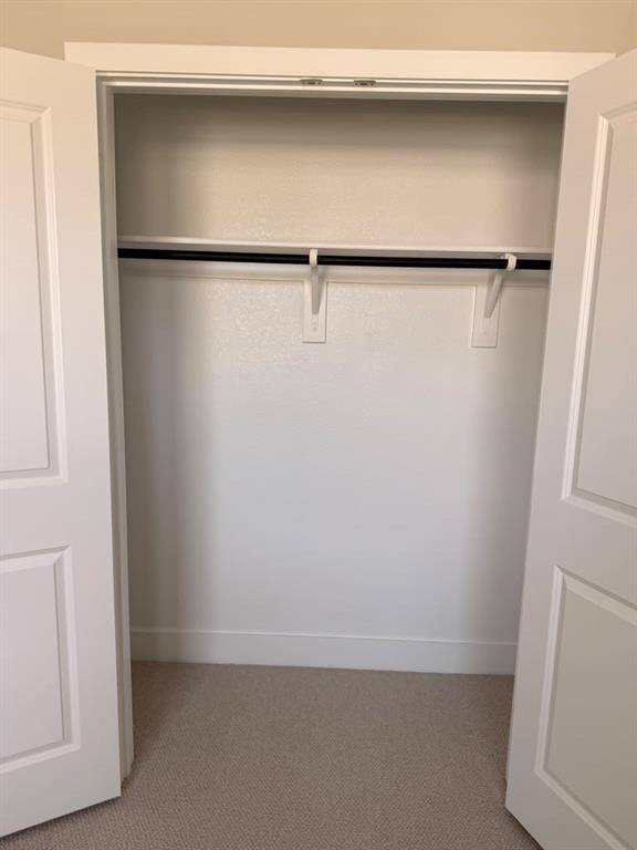 Closet featuring double-panel doors, neutral carpeting, and a built-in horizontal clothes rod with overhead shelving