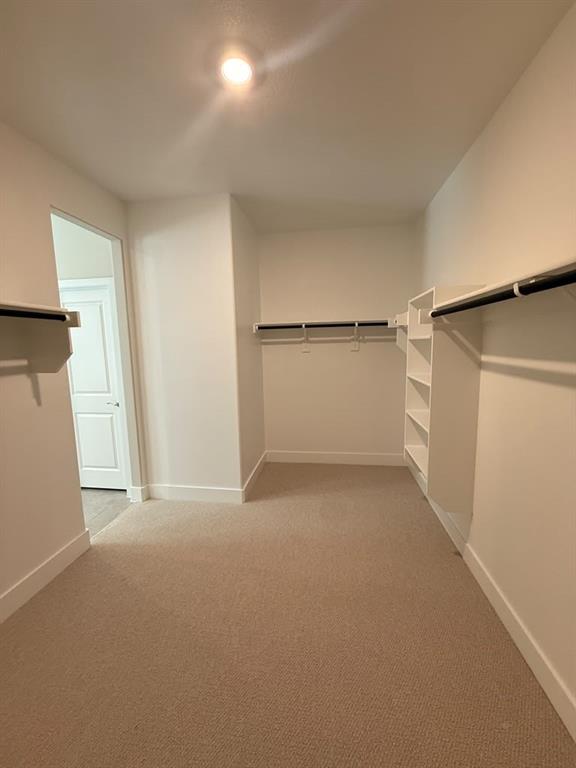 Walk-in closet featuring neutral carpeting, built-in shelving, and dual hanging rods