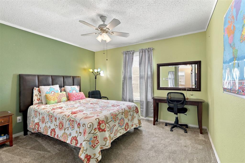 Spacious room featuring neutral carpeting, a ceiling fan with integrated lighting, and dual windows dressed with fabric curtains