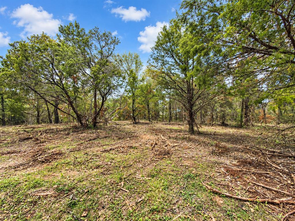 Natural acreage featuring mature native trees, clear ground terrain, and open space