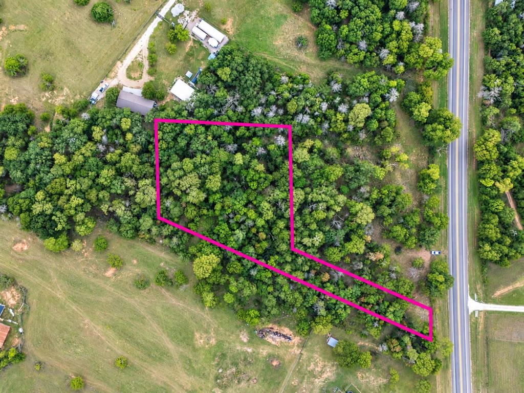 Aerial view of wooded parcel featuring dense mature tree cover and direct frontage to a paved roadway