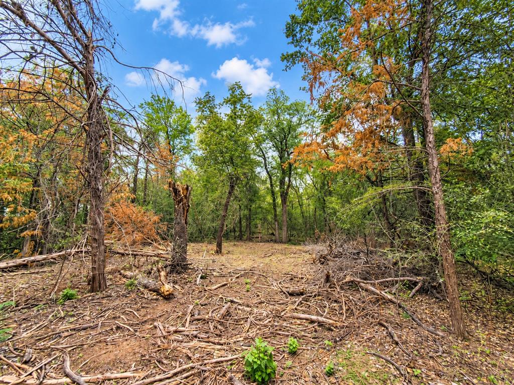 Wooded acreage featuring mature trees and natural landscape