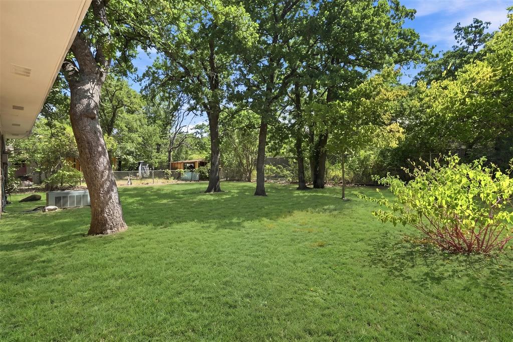 Expansive green lawn framed by mature trees, featuring a prominent tree trunk and lush surrounding foliage
