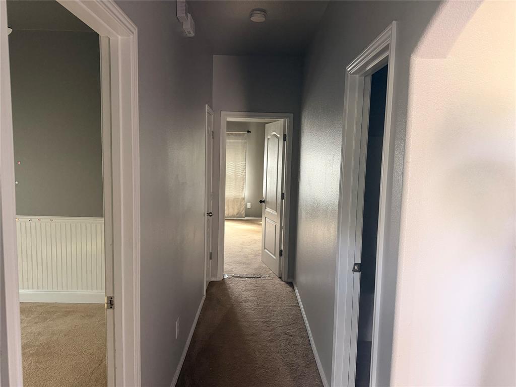 Interior hallway featuring neutral-toned walls, carpeting, white paneled doors with hardware, and wainscoting detail Interior hallway featuring neutral-toned walls, carpeting, white paneled doors with hardware, and wainscoting detail