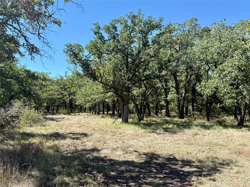 4655 Fm-1047, Evant, TX 76880