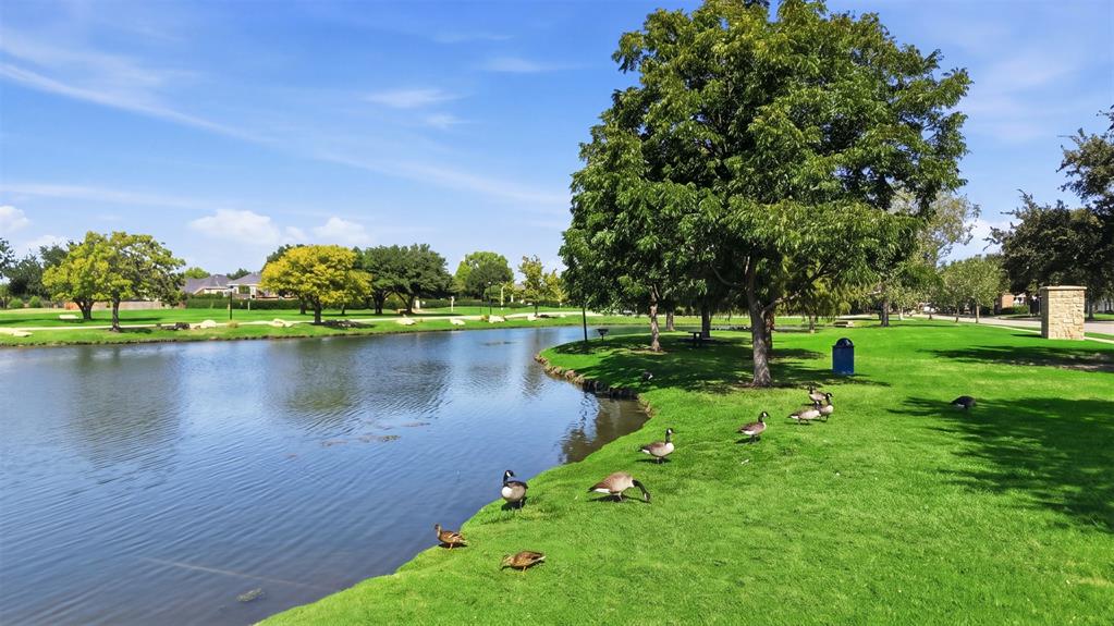 9006 Hogan Drive, Rowlett, TX 75089