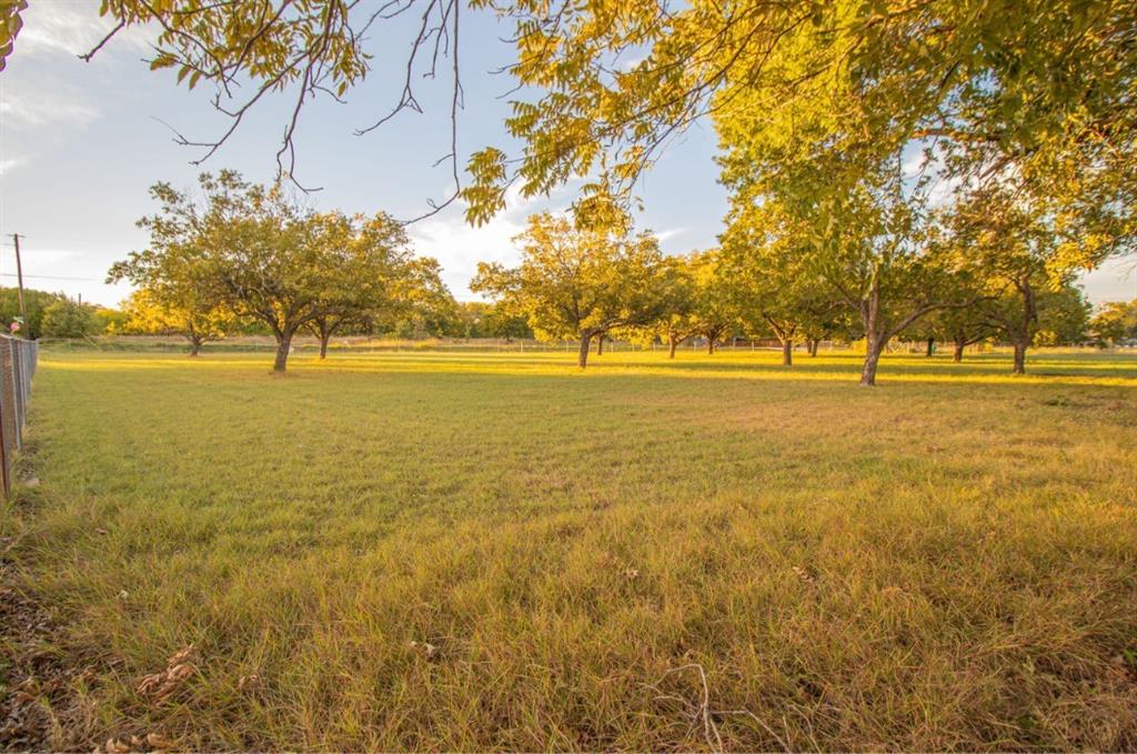 Expansive grounds featuring a level grass lawn, perimeter fencing, and mature trees