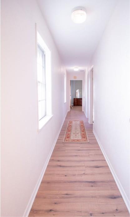Hallway featuring wood-finish flooring, two vertical windows with white framing, and dual flush-mount ceiling light fixtures