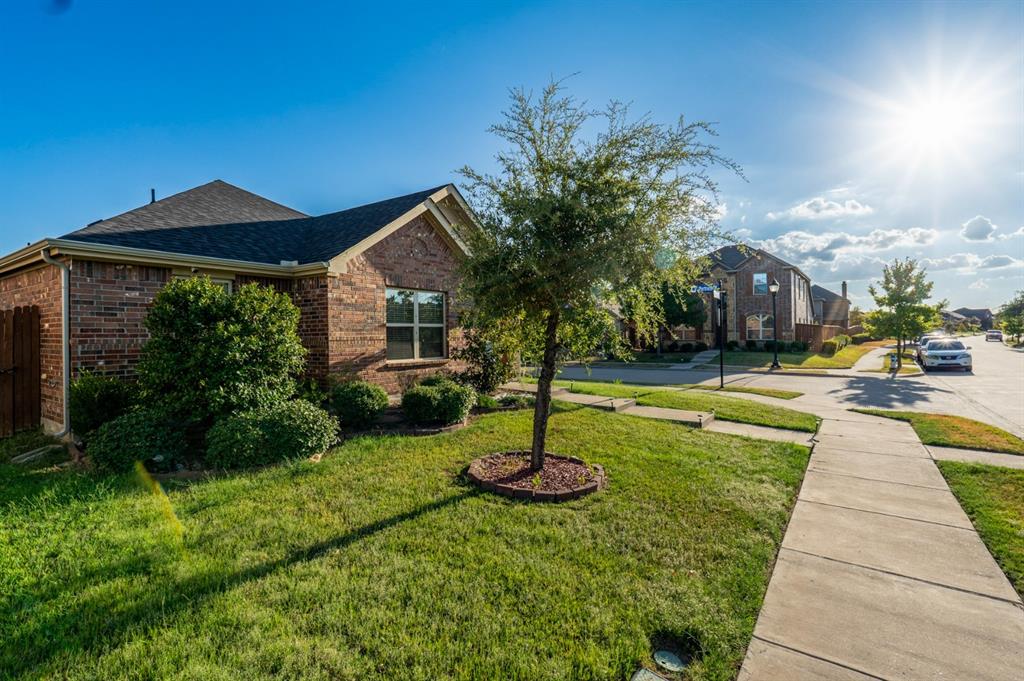 Brick exterior, composition shingle roof, concrete sidewalk, and landscaped front lawn with mature tree