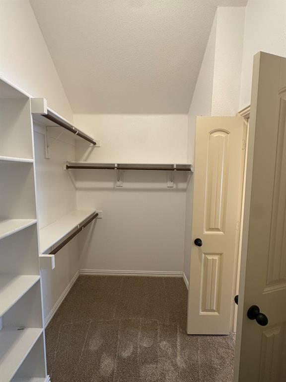 Walk-in closet featuring built-in white shelving, integrated hanging rods, carpeted flooring, and a six-panel door with matte black hardware