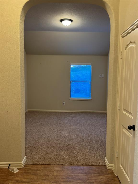 Arched entryway featuring neutral carpeting, a vaulted ceiling, a flush-mount light fixture, and a single-panel interior door