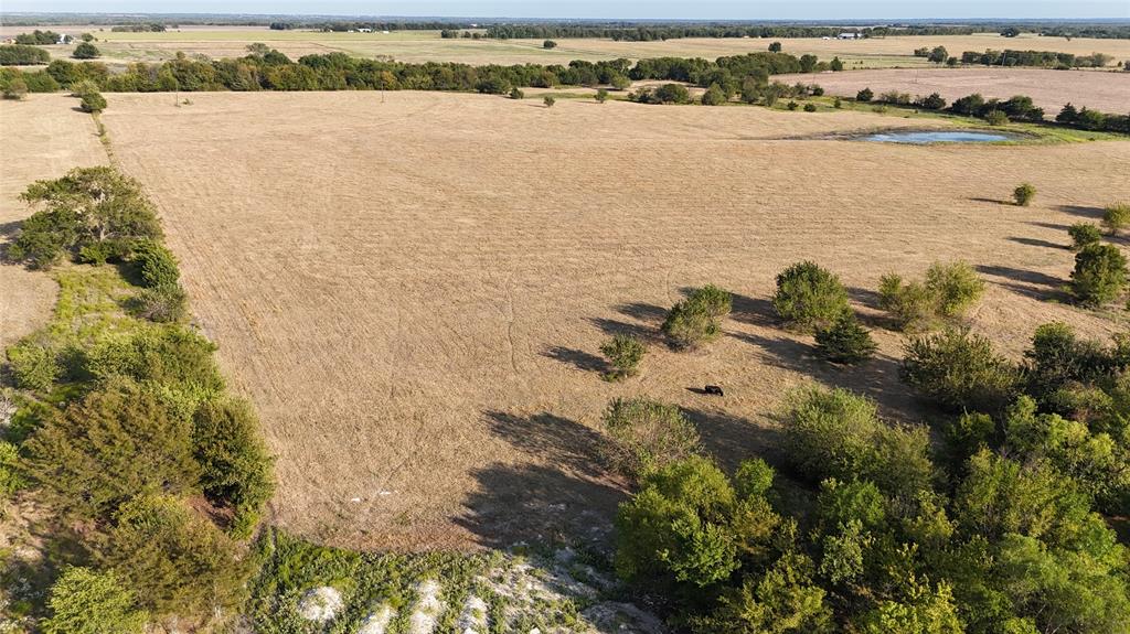 Expansive acreage featuring open pasture, mature tree clusters, and a natural pond