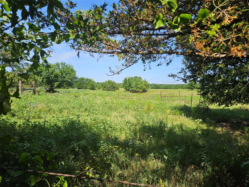 Expansive acreage featuring mature trees, natural meadowland, and perimeter wire fencing