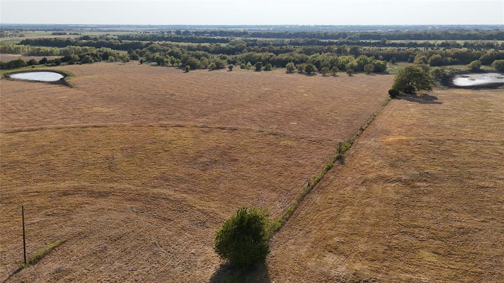 Expansive acreage featuring open pasture land, two ponds, and mature tree clusters