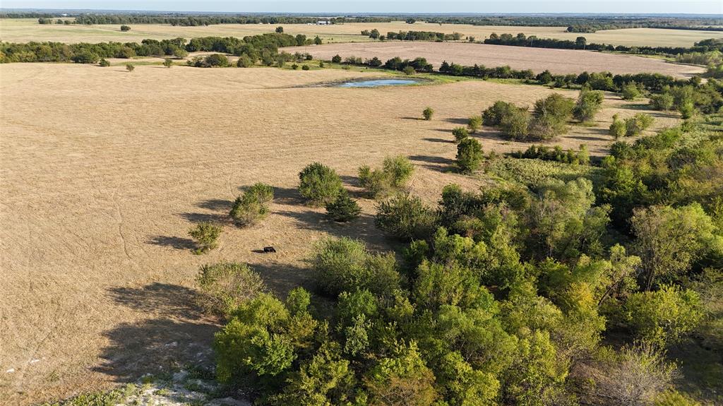 Expansive acreage featuring rolling open fields, clusters of mature trees, and a natural pond