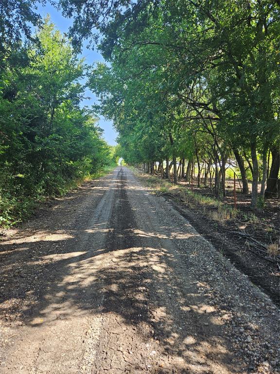 Gravel driveway bordered by mature canopy trees and established vegetation
