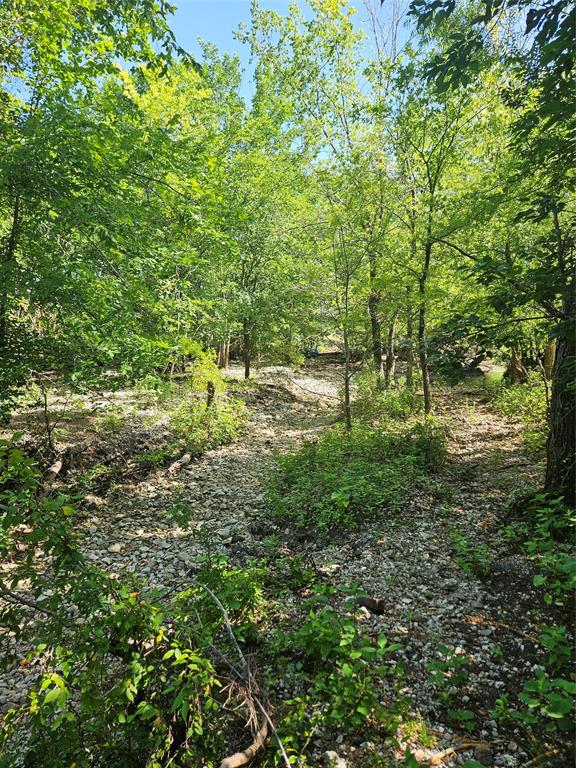 Wooded grounds featuring mature trees and a natural rock-lined surface