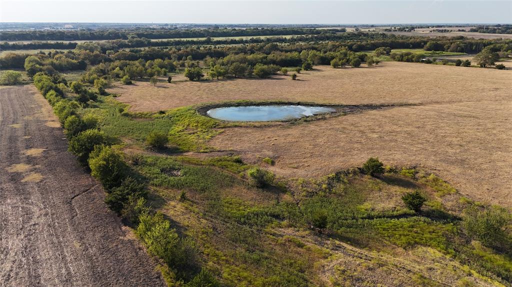Expansive acreage featuring a natural pond, native grasses, and mature tree lines