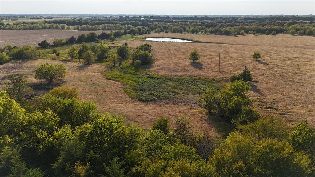 Expansive acreage featuring rolling terrain, clusters of mature trees, and a pond