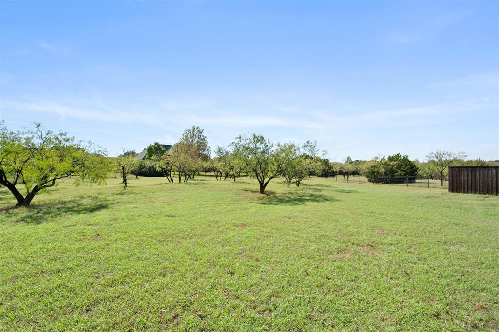 So much space - cross fenced