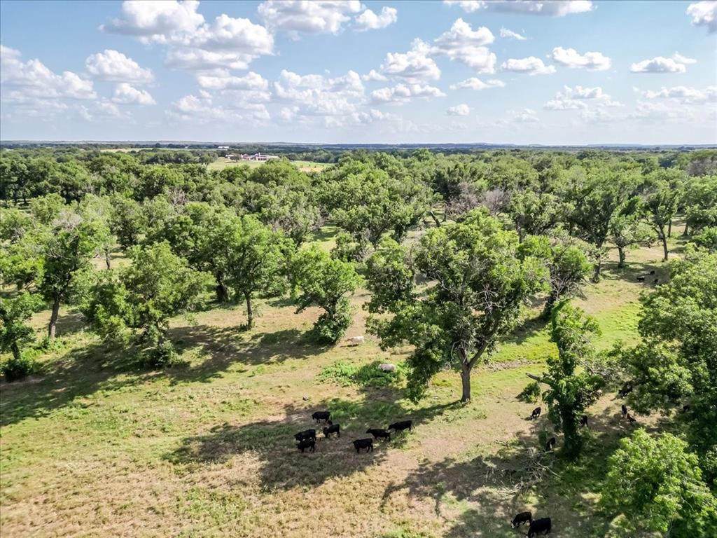 1251 County Road 360, Gustine, TX 76455