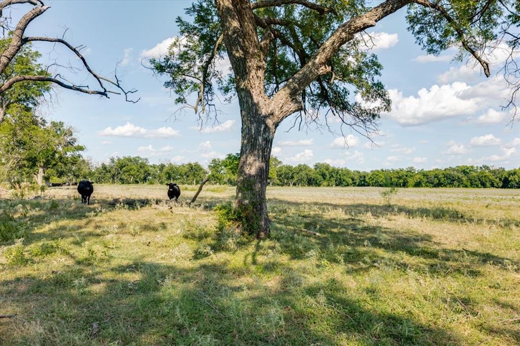 1251 County Road 360, Gustine, TX 76455