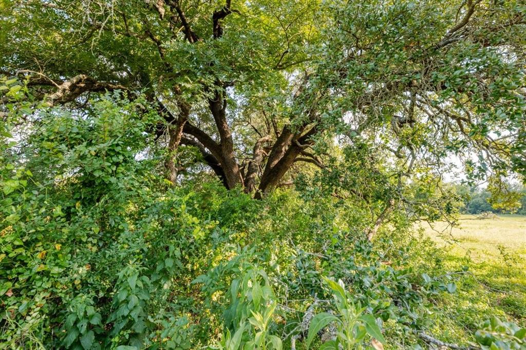 1251 County Road 360, Gustine, TX 76455