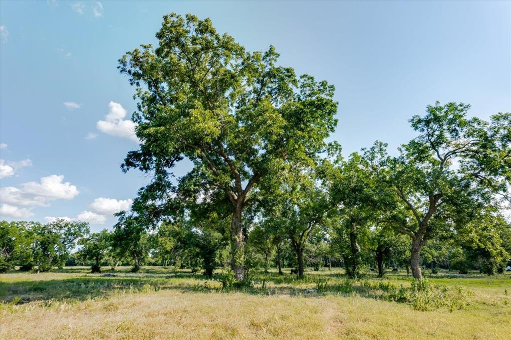 1251 County Road 360, Gustine, TX 76455