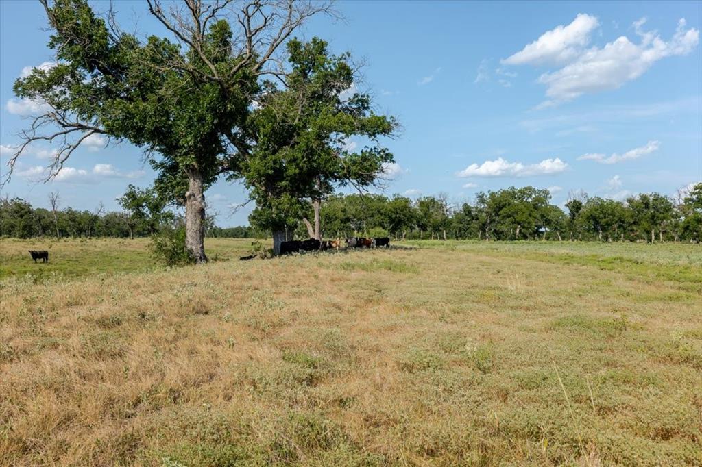 1251 County Road 360, Gustine, TX 76455