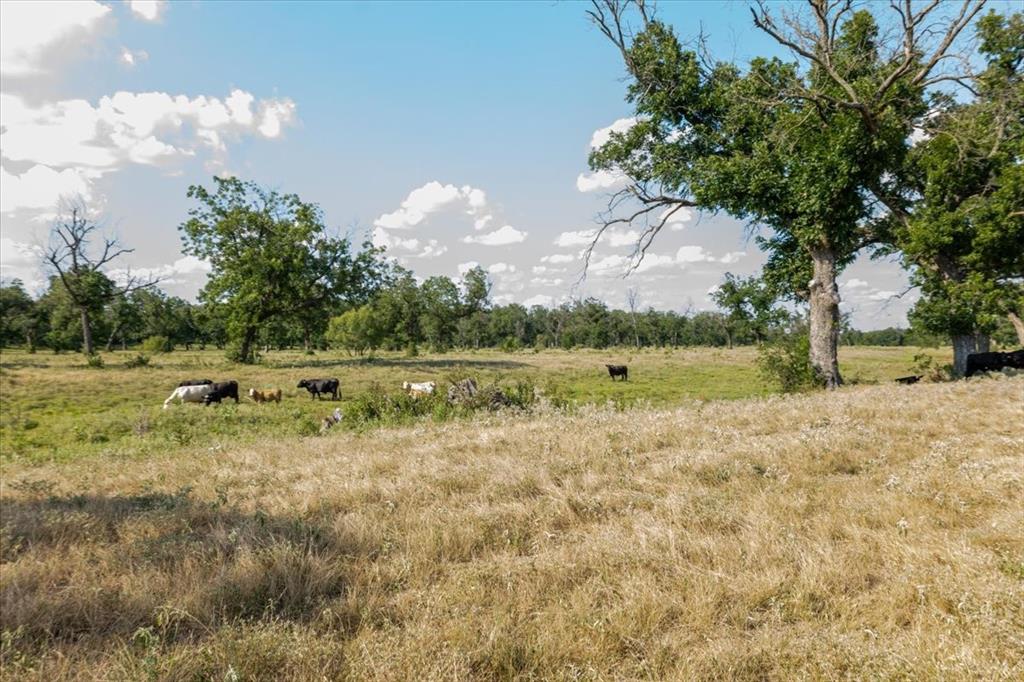 1251 County Road 360, Gustine, TX 76455