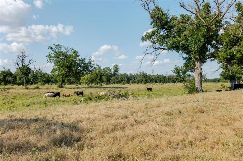 1251 County Road 360, Gustine, TX 76455