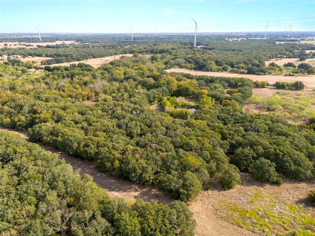 982 Lcr 131, Mount Calm, TX 76673