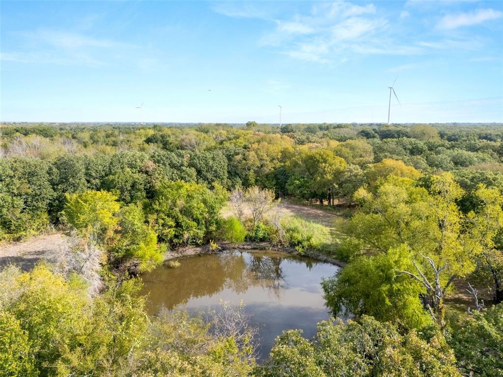 982 Lcr 131, Mount Calm, TX 76673
