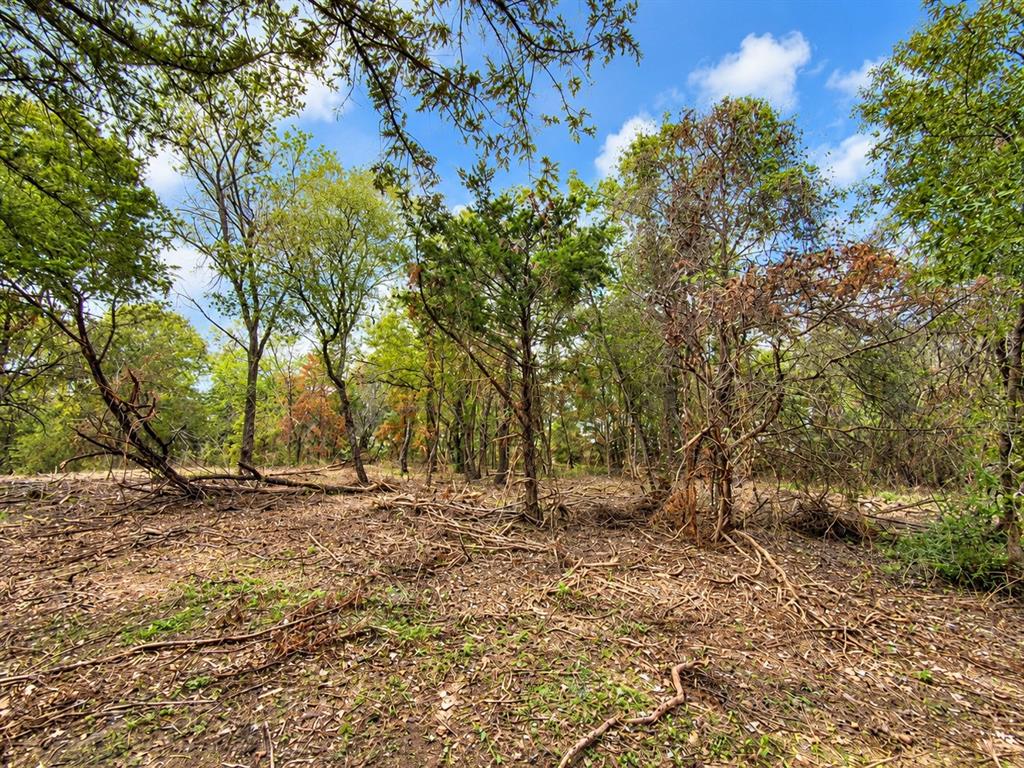 Wooded acreage featuring mature trees and natural landscape