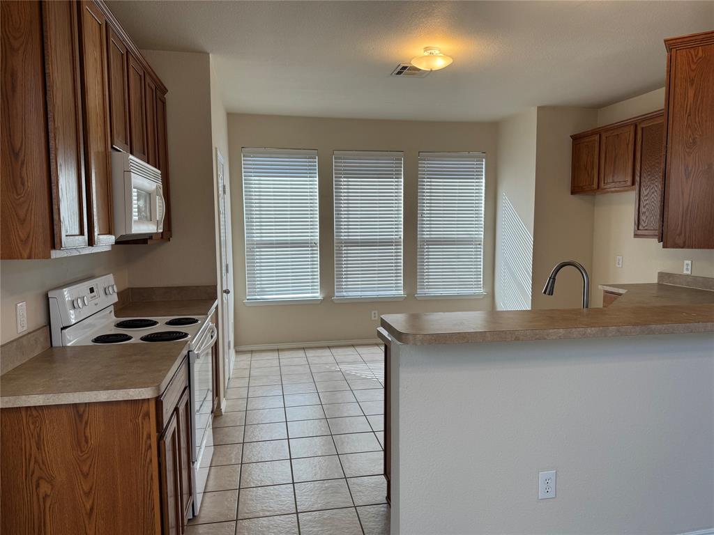 10239 Waterbury Drive, Providence Village, TX 76227