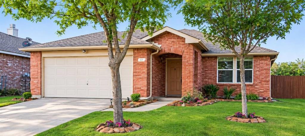 517 Butch Cassidy Drive, Anna, TX 75409