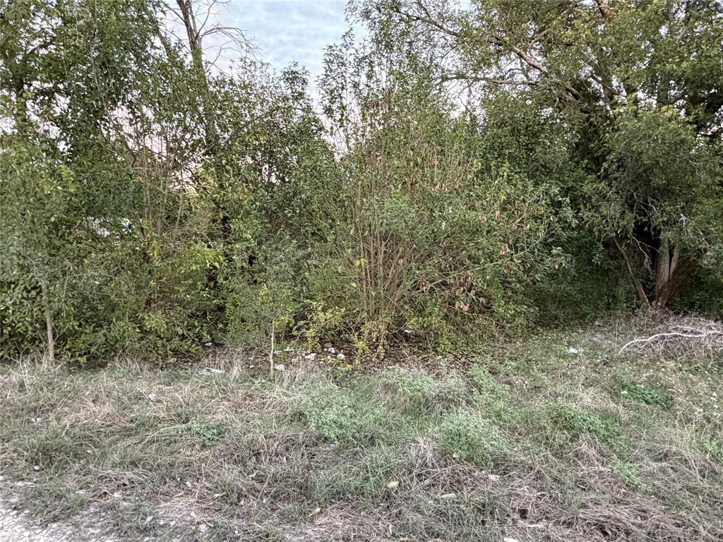 TBD CR 1772, Clifton, TX 76634