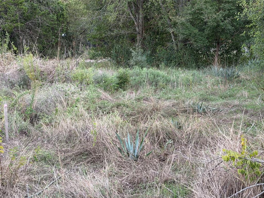 TBD CR 1772, Clifton, TX 76634