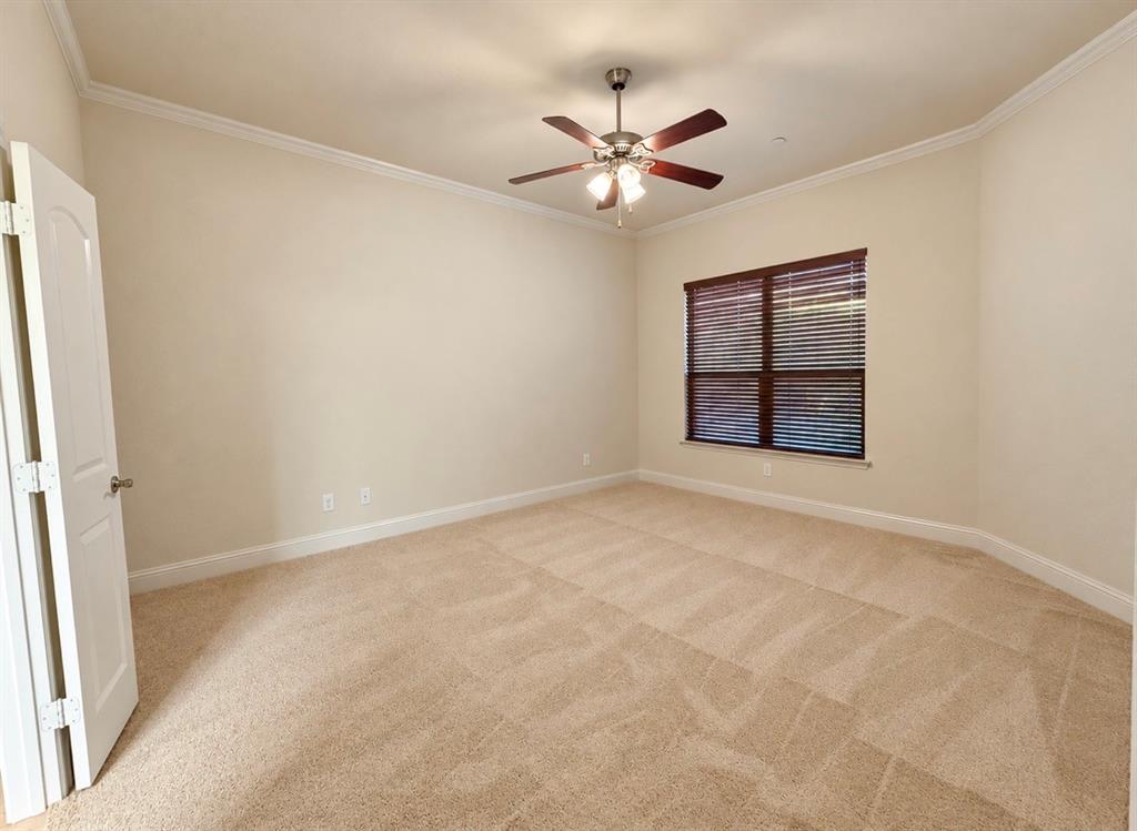 Neutral-toned room featuring wall-to-wall carpeting, crown molding, a central ceiling fan with integrated lighting, and a multi-pane window with horizontal blinds