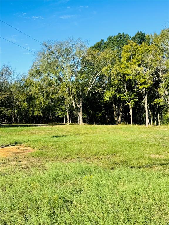 9250 Fm 59, Athens, TX 75751