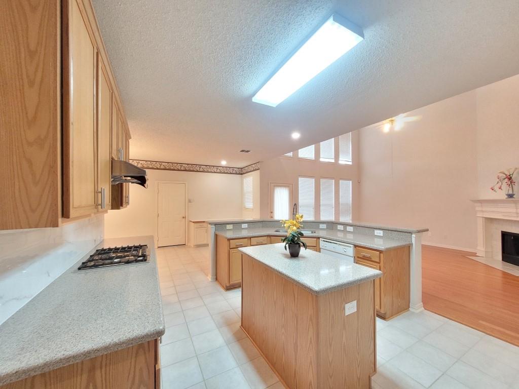 3509 Dripping Springs Drive, Plano, TX 75025
